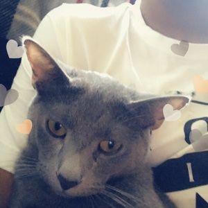 Meet your Posher, Kevin